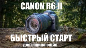 обучение canon r6 II полный курс для начинающих