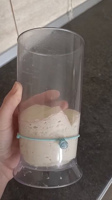 Левито Мадре 9 день утро смотреть онлайн