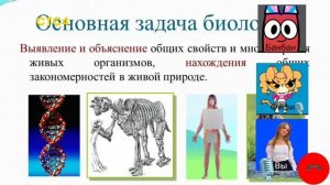 Бараш Дистанционное обучение 1 сезон 7 серия Мультфильм для детей