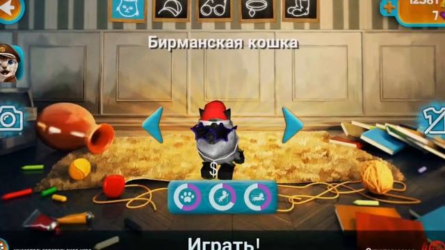 Очень очень странная кошка смотреть онлайн