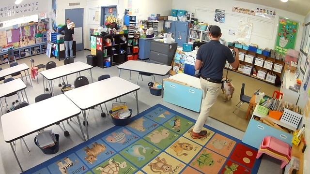 Iona Detective AKC, scent theory. смотреть онлайн