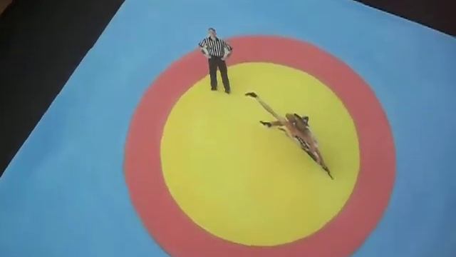 Project of 11 th class on wrestling stadium смотреть онлайн