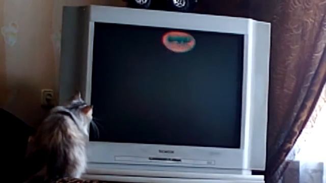 Лиса смотреть онлайн