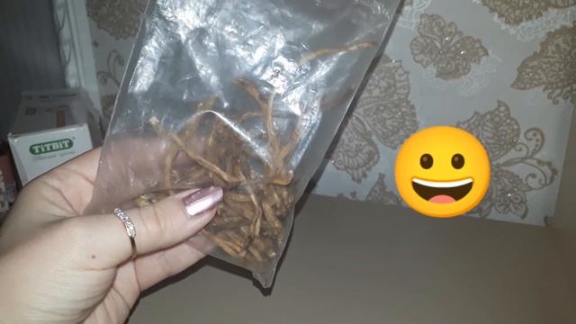 Шиля оценивает свои лакомства:) смотреть онлайн