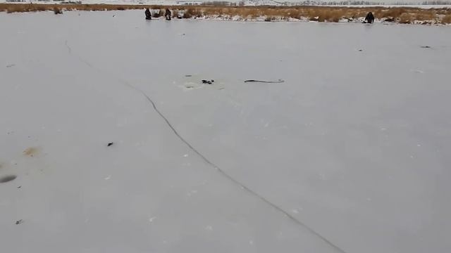 Ловля ротана по первому льду. смотреть онлайн