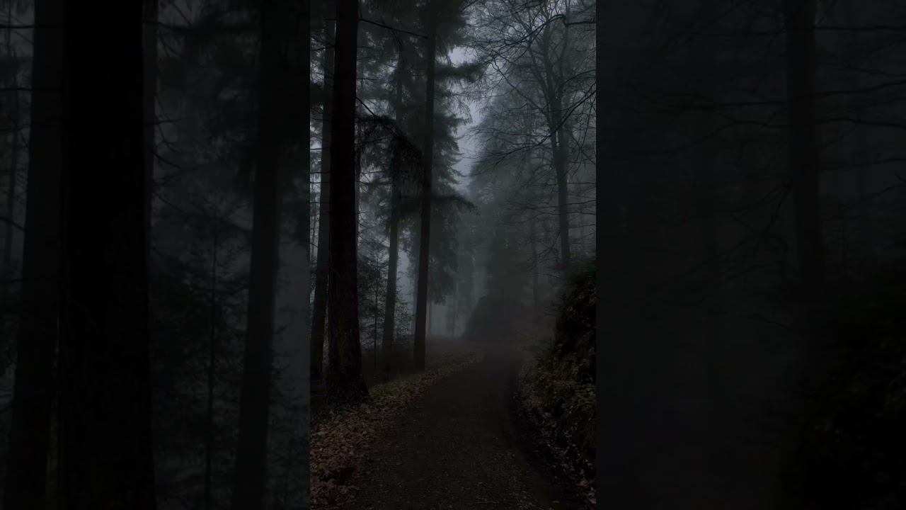 @kate_miltei Выпускать!!! #рекомендации #фонк #shorts #ремикс #phonk