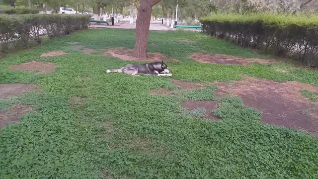 Вся наша боль, моя лишь боль смотреть онлайн