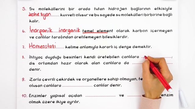 9.Sınıf Biyoloji | 1.Dönem 1.Yazılıya Hazırlık смотреть онлайн