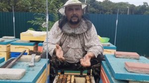 Изоляция Маток-Борьба с Клещём!!!