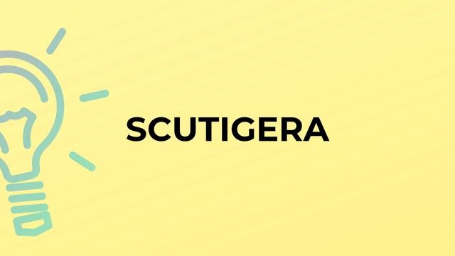 What is the meaning of the word SCUTIGERA? смотреть онлайн