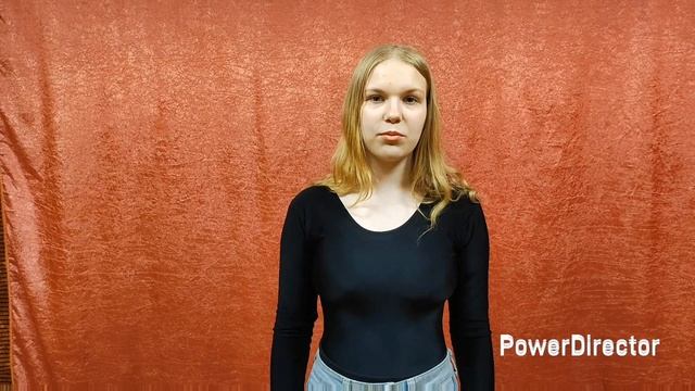 Галкин Владимир Александрович .mp4