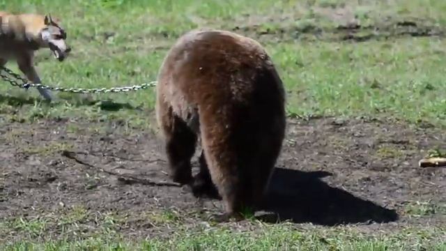 17 июля 2020 г. смотреть онлайн