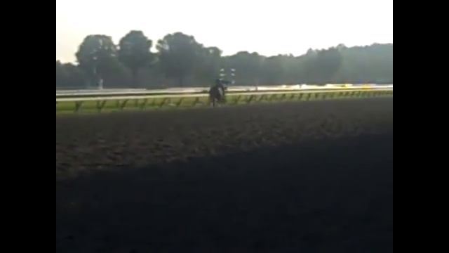 Dominant Jeannes at Saratoga смотреть онлайн