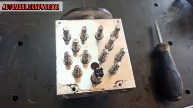 inside an abs module смотреть онлайн
