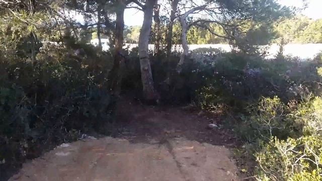 Foret des pin canaries Cap Ivi mostaganem Algerie смотреть онлайн