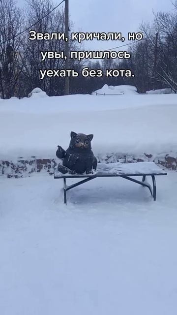 Мурманск Кот Семён смотреть онлайн