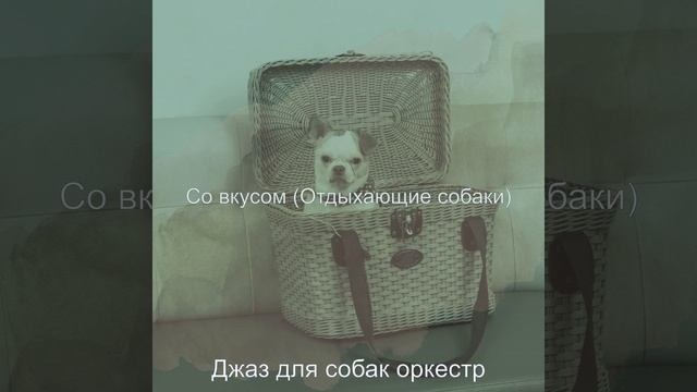 Видения (Выгул собак) смотреть онлайн