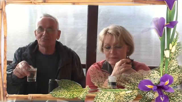 На даче в Рогово смотреть онлайн
