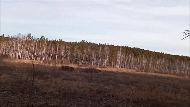 Коп на неведомых дорожках..._x264