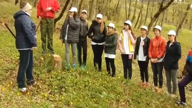 Новости ТВ6 Курск 11 11 2015 смотреть онлайн