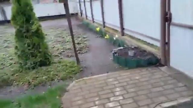 МЕЧТЫ СБЫВАЮТСЯ! Давно хотела и наконец купила! смотреть онлайн