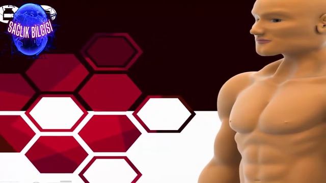 Kreatinin Hakkında | Kreatinin Yüksekliği ve Düşüklüğü смотреть онлайн
