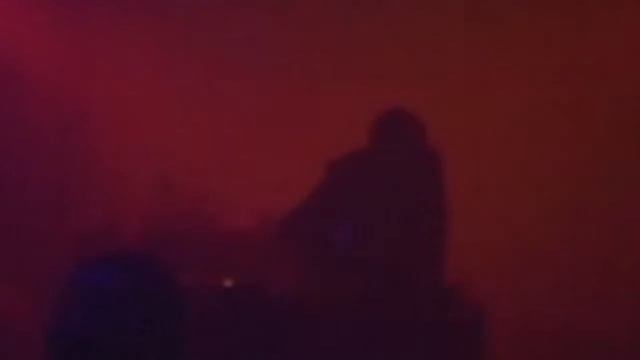 TLFN Live in LES 01.06.2019 смотреть онлайн