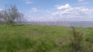 VID_20250411_132553.mp4