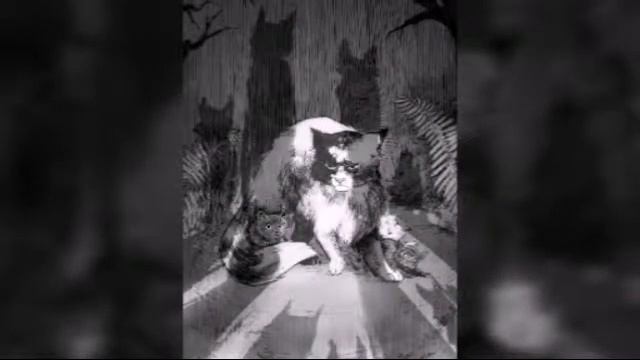 Коты-воители Кленовница. смотреть онлайн