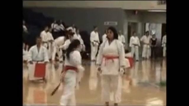 2007 SAKA Tournament - Mallory and Iris - Kumite смотреть онлайн