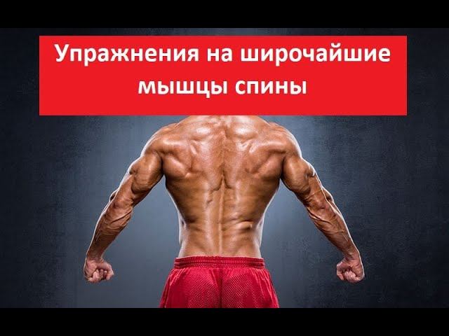 Упражнения на широчайшие мышцы спины - работа над ошибками смотреть онлайн