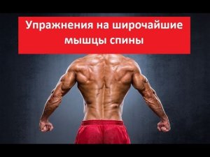 Упражнения на широчайшие мышцы спины - работа над ошибками