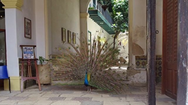 Havana, Cuba - Photo Story смотреть онлайн