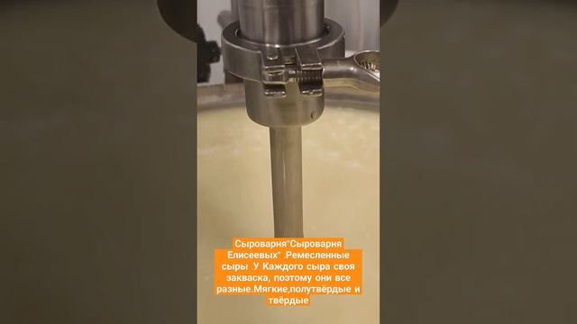 Сыроварня"Сыроварня Елисеевых".Ремесленные сыры.У Каждого сыра своя закваска, поэтому они все разны смотреть онлайн