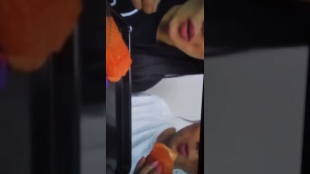 Треш обзор на как едят корейцы! смотреть онлайн