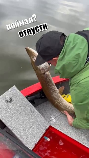 Рыбалка с гидом на Триере!!! https://vk.com/id74276136 #Триера #рыбалка #гид #лодка смотреть онлайн