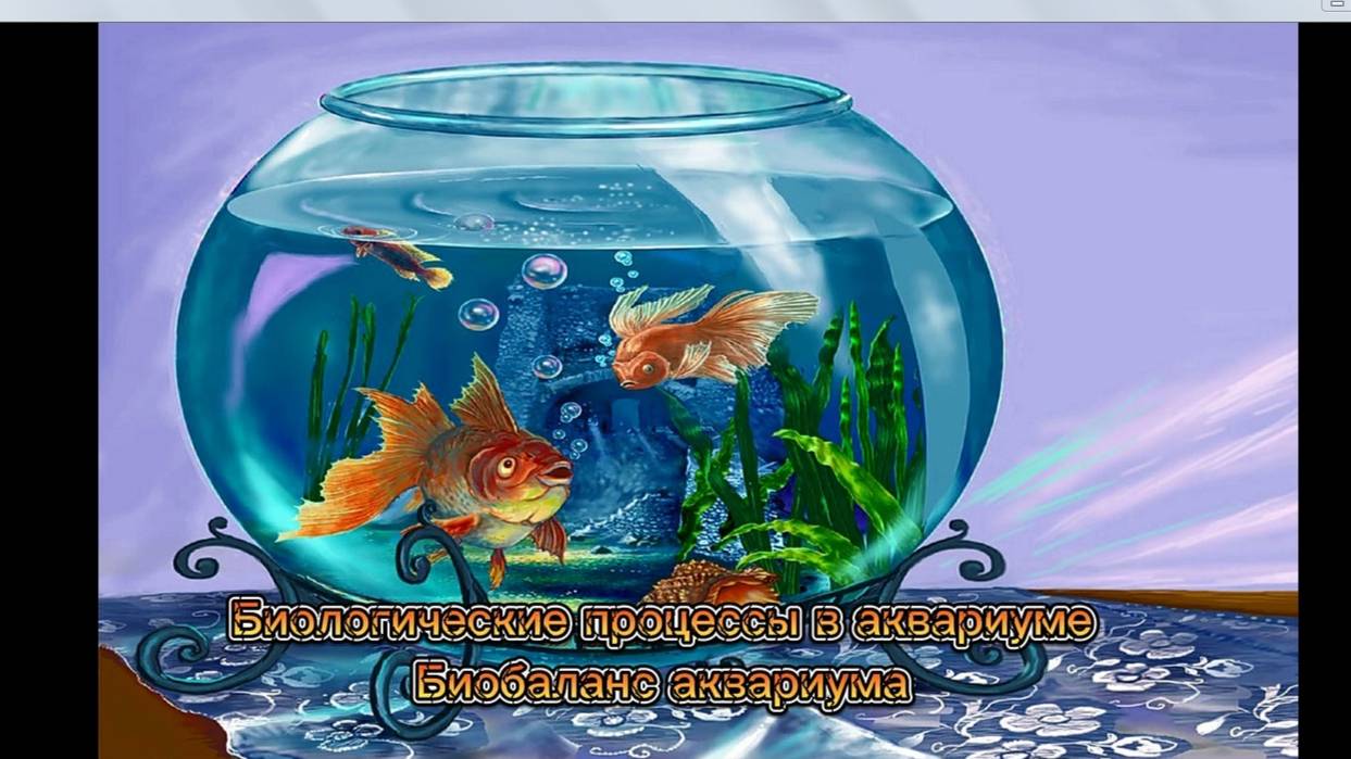 Биобаланс аквариума. Биологические процессы в аквариуме.