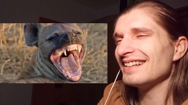 55x55 – АЙТИПЕДИДЖЕЙ (feat. itpedia) РЕАКЦИЯ смотреть онлайн