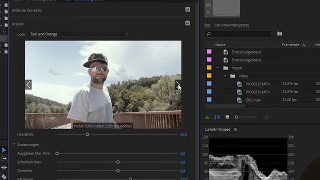 Wie verwende ich LUTs? + GRATIS LUT Pack || Premiere Pro Tutorial смотреть онлайн