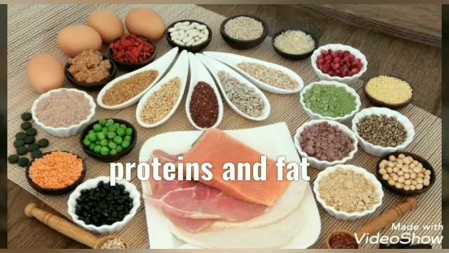 How our body converts food into energy (ATP) explained in Tamil смотреть онлайн