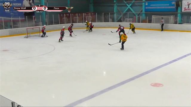 ХК «Snow Wolf» - ХК «Лоси» - 24.01.2023 21:30 смотреть онлайн