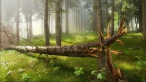 Место встреч (Часть 3)  / Христианская история / Поэзия голос души