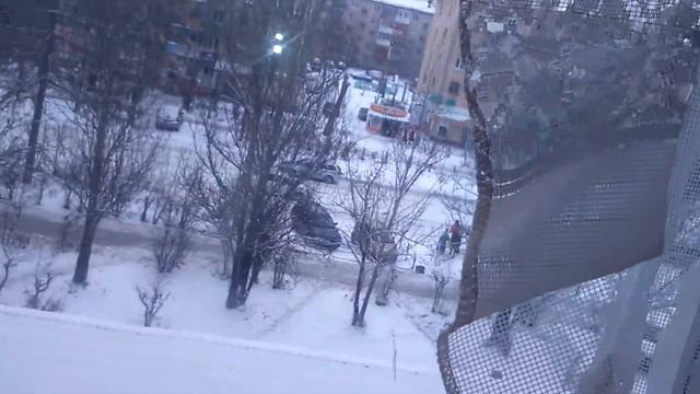 Чем опасно лето для хомяка и котик Миша Ася ручная... смотреть онлайн