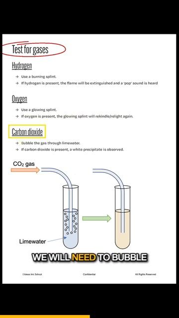 Testing for Gases #science #chemistry #oxygen #hydrogen #carbondioxide #ammonia