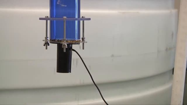 Soybased Fish Feed Adds Value to Soybeans смотреть онлайн