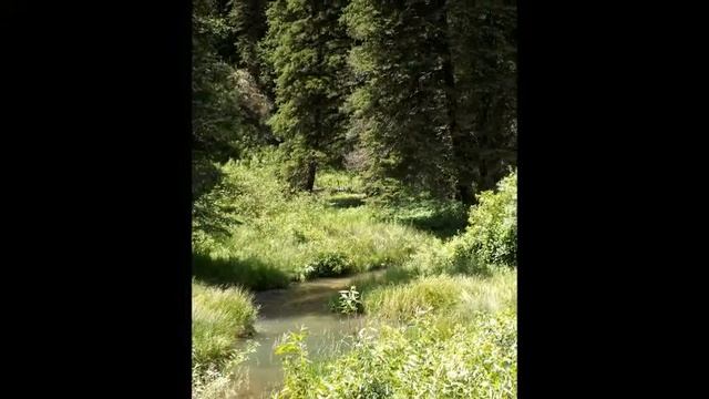 Colorado video IV 4 by Janice M Carroll (aka windspirit) смотреть онлайн