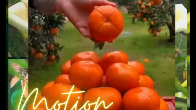 Парфюмерная вода MOTION от Мэри Кэй смотреть онлайн