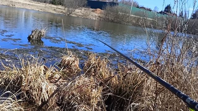 Рыбалка на боковой кивок.Весна 2025г.