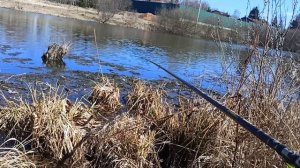 Рыбалка на боковой кивок.Весна 2025г.