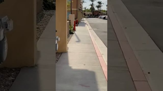 2021 Kymco Mongoose 270 Unrestricted Speed смотреть онлайн